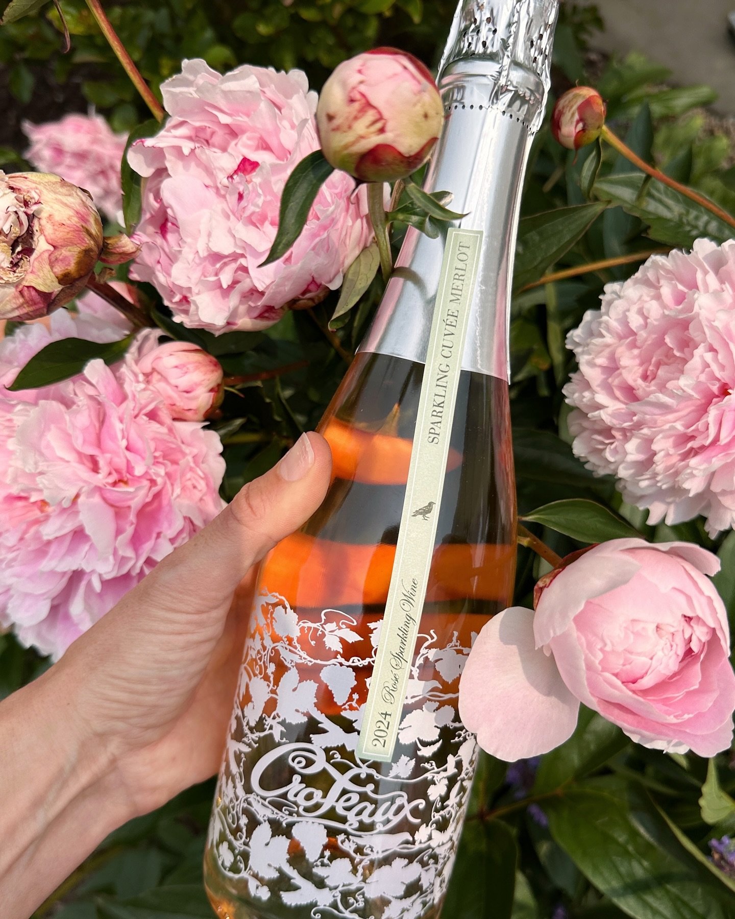 Case: 2024 Merlot 'Sauvage' Rosé — Croteaux Vineyards