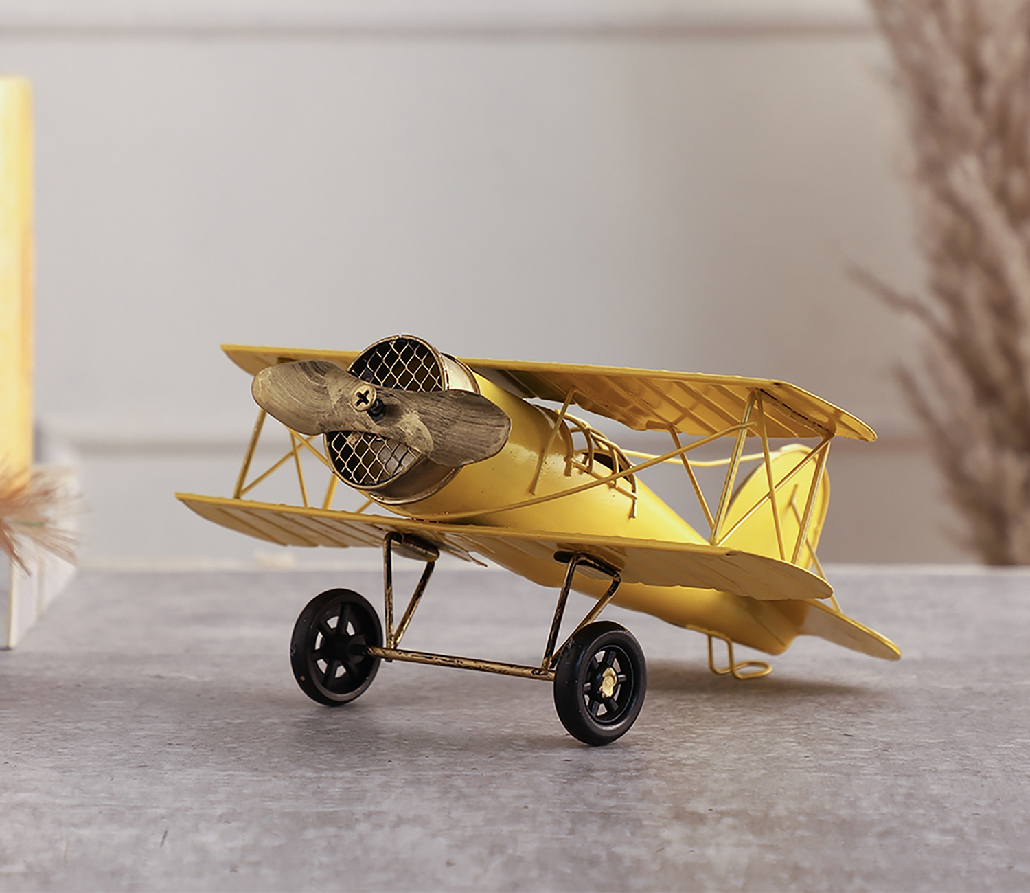 Decoration Plane