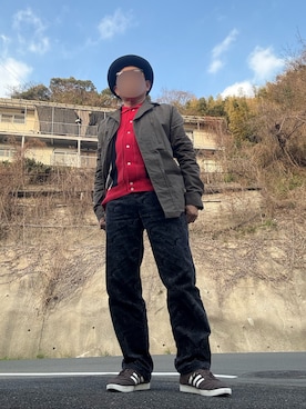 A.P.C.（アーペーセー）の「SWISS ARMY PARKA/KANYE WEST/カニエ