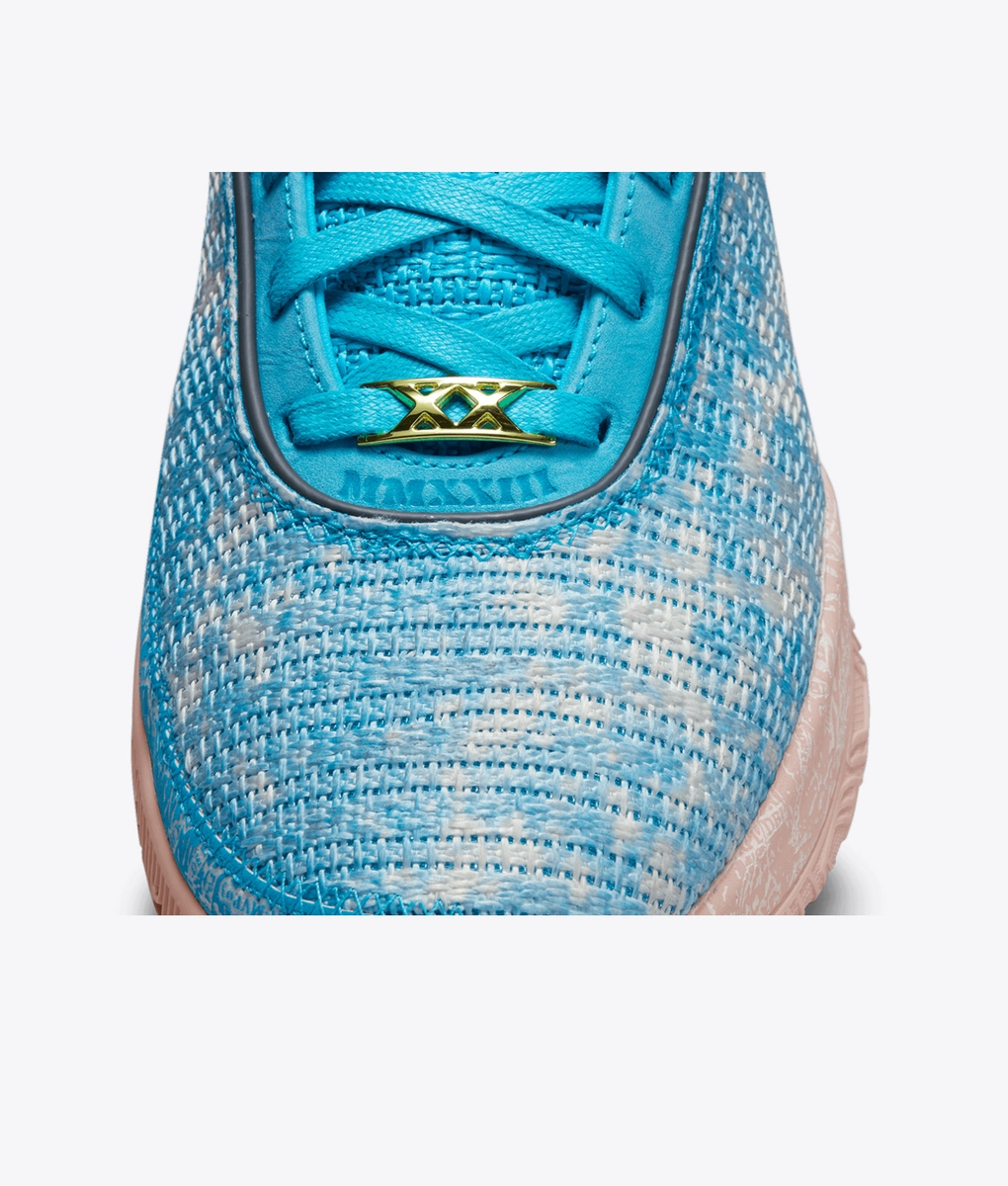 Nike - Lebron Xx Asw Ep - VegNonVeg