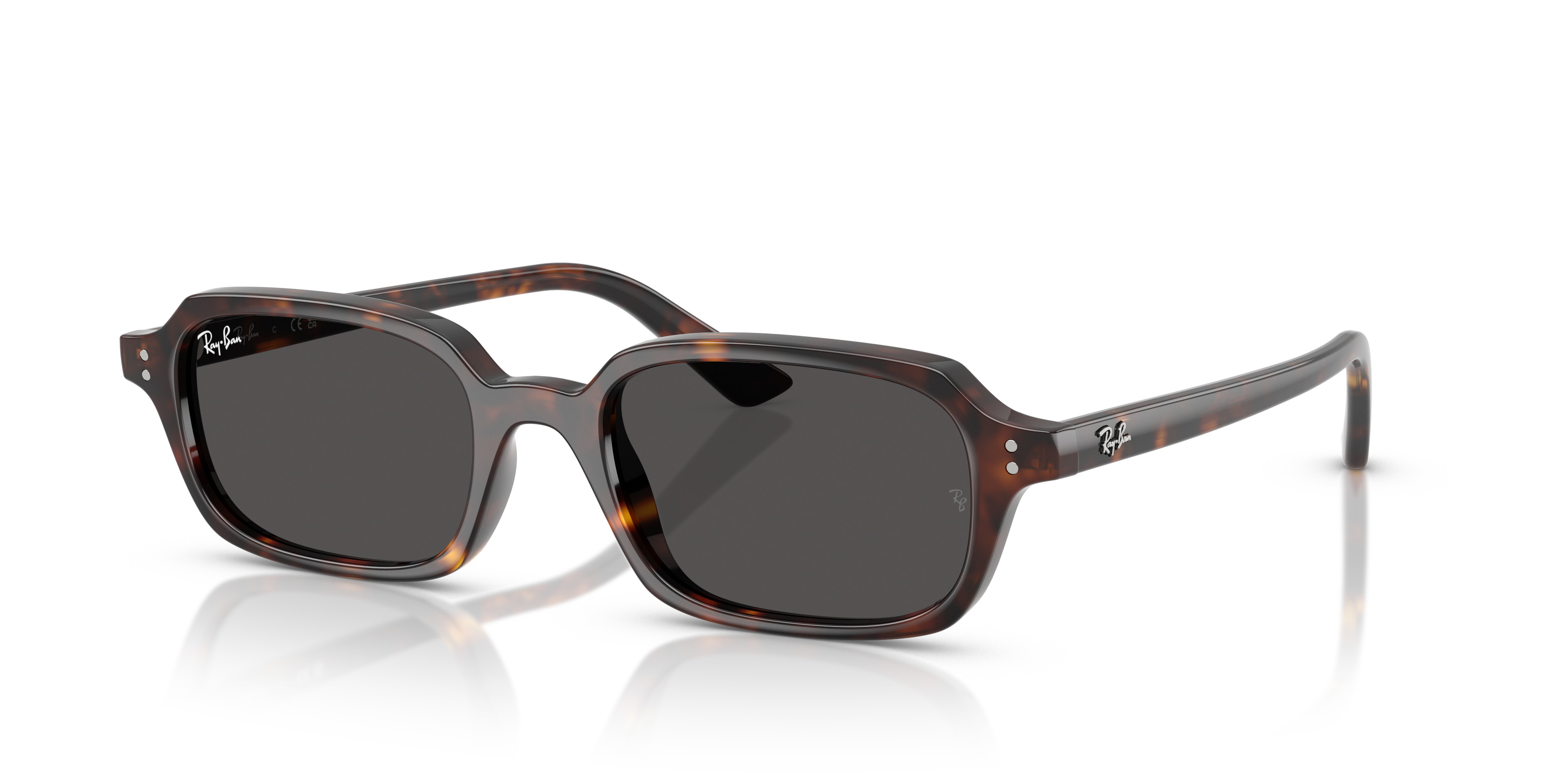 RB4436D BIO-BASED Sunglasses in Black and Dark Grey - RB4436D