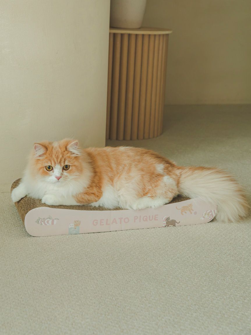 CAT&DOG】ねこ柄つめとぎ(グッズ)｜ルームウェア・パジャマ通販の