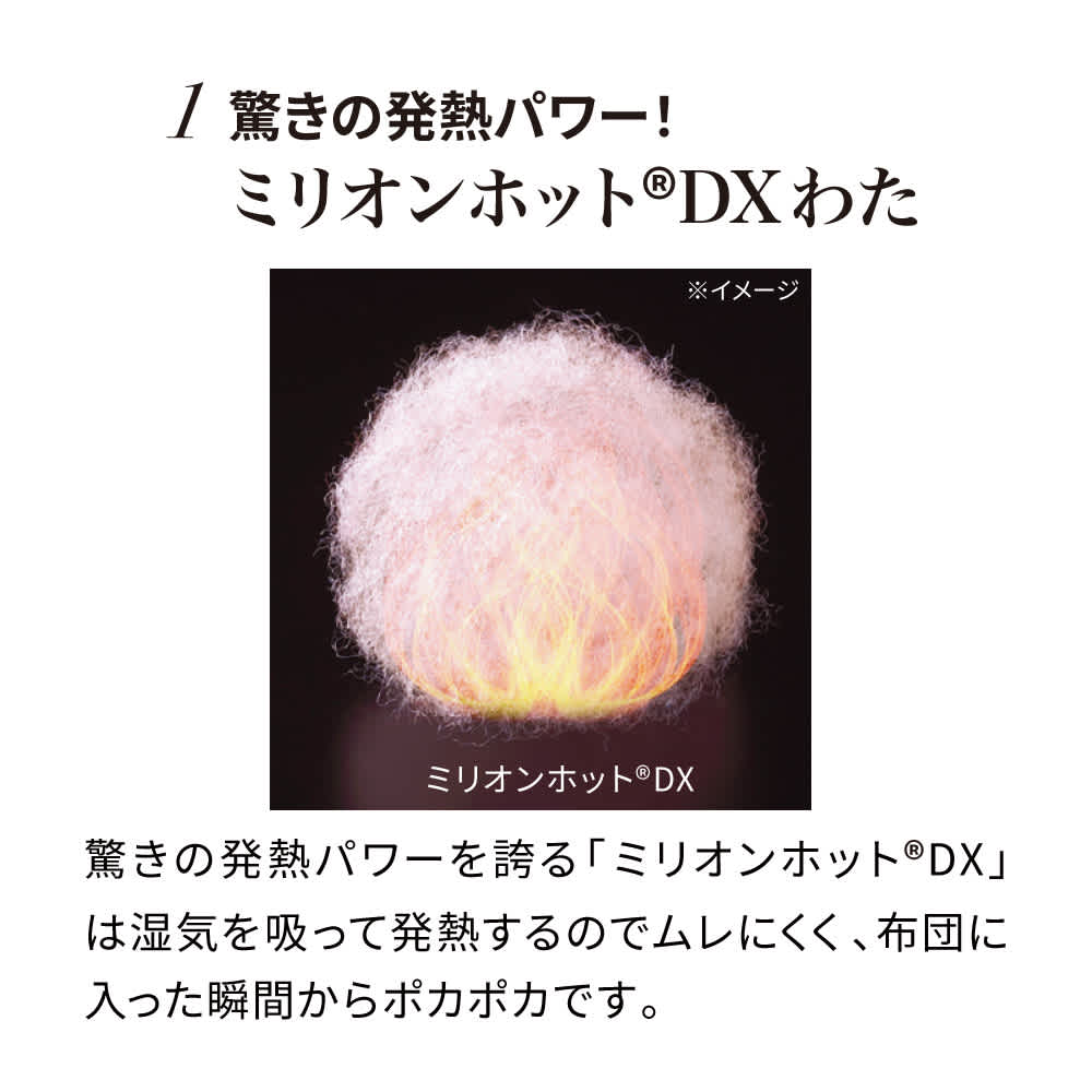 ディノス限定販売】 ヒートループ（R）羽毛入り掛け布団 通販 - ディノス