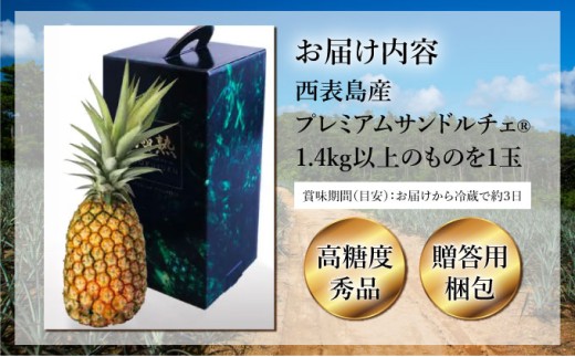 GOKUJUKU-極熟プレミアムサンドルチェ(R) 1.4kg以上 1玉 2026年 先行