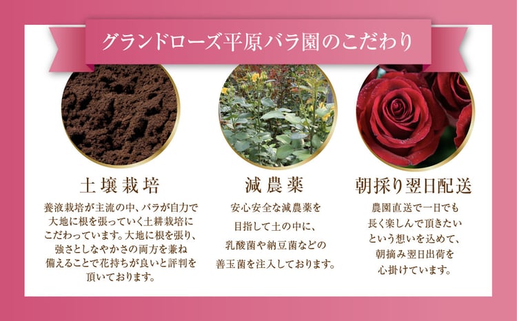 Pablok 薔薇75本 ユーカリ追加10本 ラッピング＆メッセージカード 特別