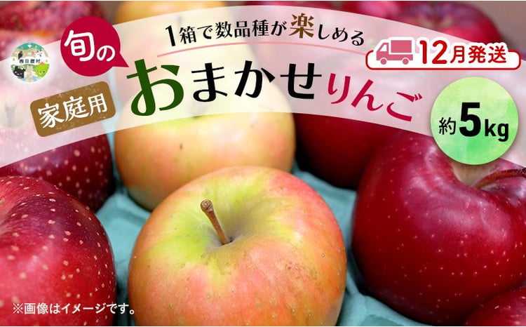 りんご 【 12月発送 】 家庭用 旬のりんご 品種おまかせ 約 5kg 2品種