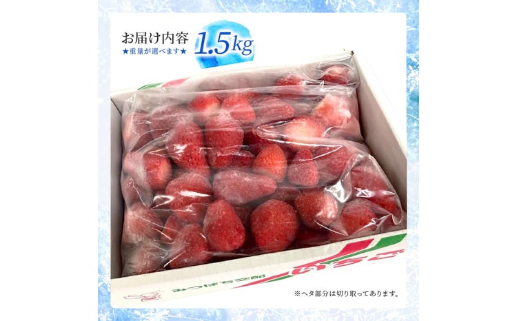 富津アクアファーム 冷凍完熟いちご 1.5kg いちご フルーツ 果物 完熟