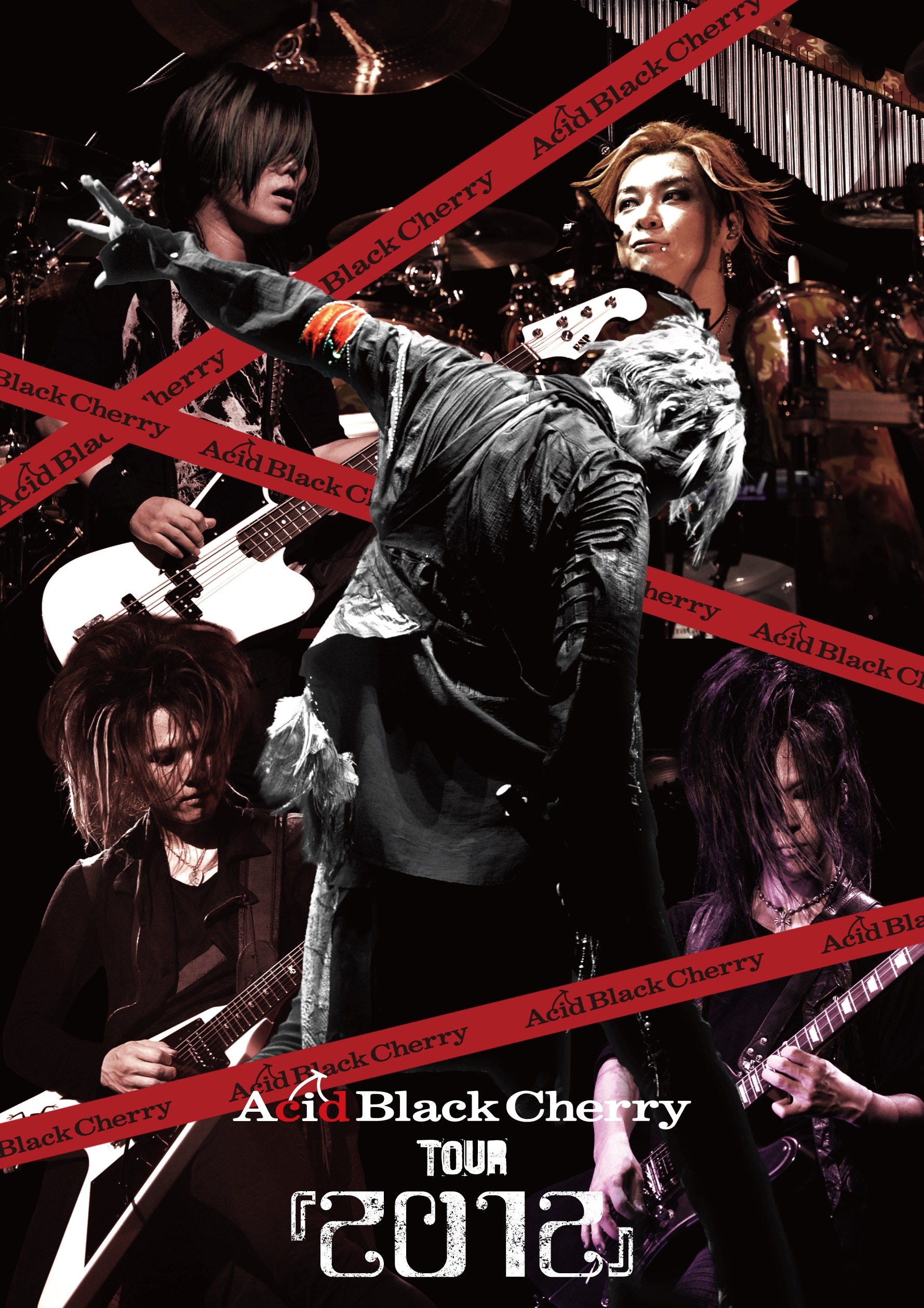 Acid Black Cherry TOUR 『2012』 | ディスコグラフィー | LtOVES