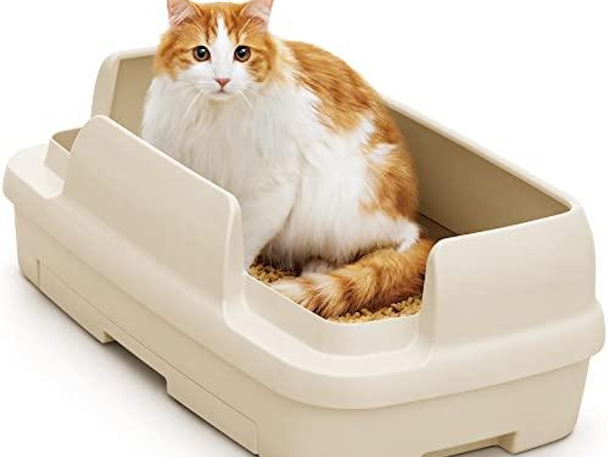 大型の猫トイレのおすすめ人気ランキング【2026年3月】 | マイベスト