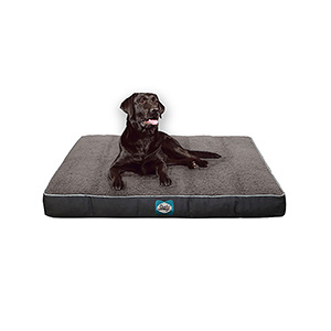 Lux Premium(ラックスプレミアム)/Sealy Dog Bed[タブルーム]