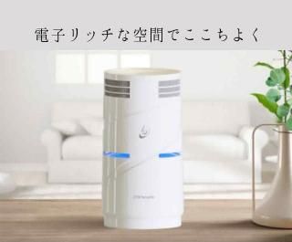 イヤシロチ 大黒柱 （小）（ネッテン）