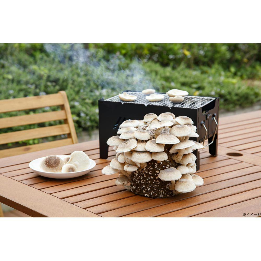 もりのしいたけ農園 栽培キット | 播種・育苗資材 通販