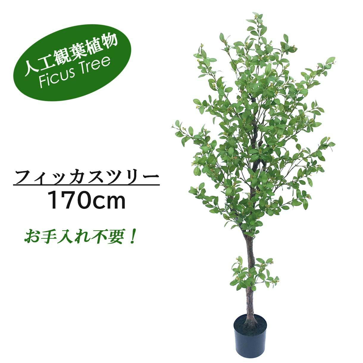 GREEN COFFRET フィッカスツリー170cm 人工観葉植物 フェイクグリーン