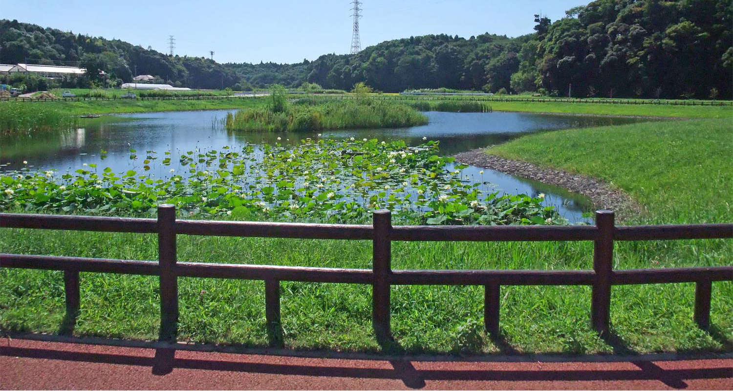 ひょうたん島池(竹袋調整池)-Hyotan Jima Pond-｜千葉ほくそうパルケ