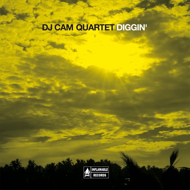 Rebirth of Cool - Album by DJ Cam Quartet - Apple Music