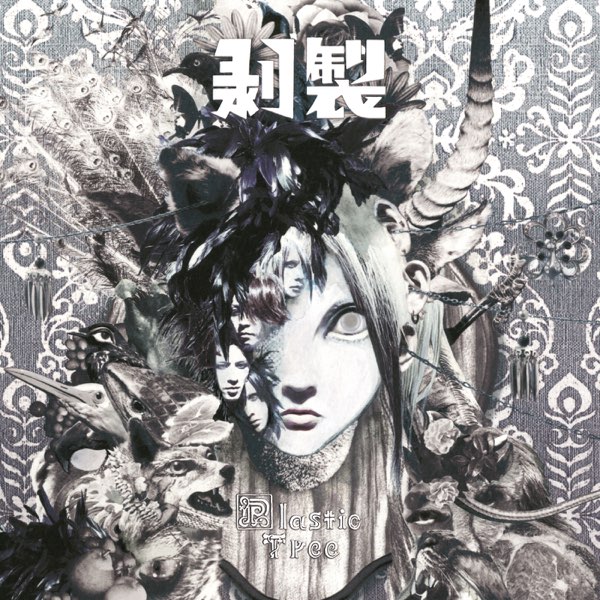 剥製 - Plastic Treeのアルバム - Apple Music
