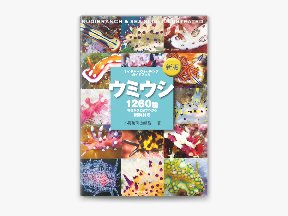 小野篤司 & 加藤昌一の「新版 ウミウシ」をApple Booksで