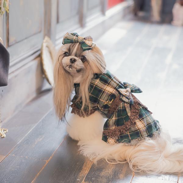 CanNana きゃんナナ 犬 服 犬服 犬の服 おしゃれ ブランド シーズー