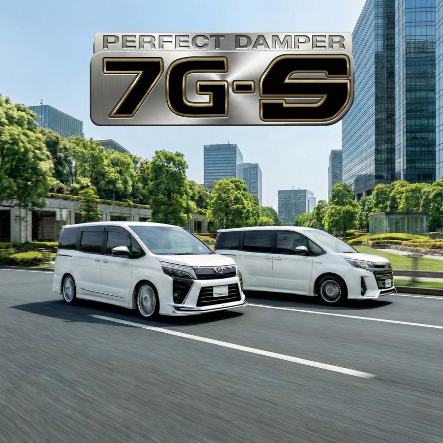 AXIS STYLING 80系 ノア ヴォクシー エスクァイア 専用 車高調