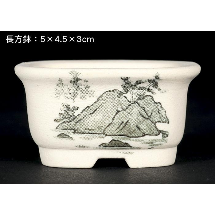 盆栽鉢 植木鉢 「瀬戸焼文山窯絵付小鉢12点セット」 絵鉢 絵付鉢 2号