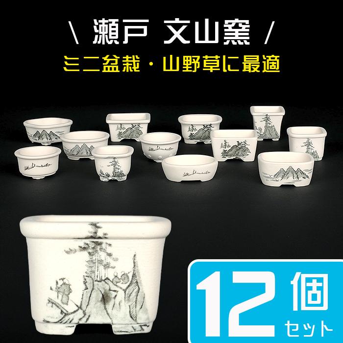 盆栽鉢 植木鉢 「瀬戸焼文山窯絵付小鉢12点セット」 絵鉢 絵付鉢 2号