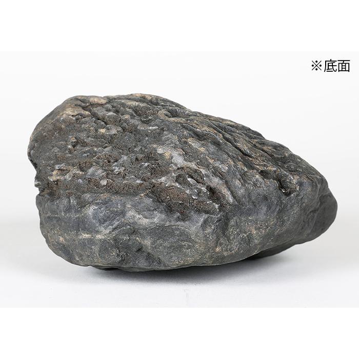 水石 「千仏石」 盆石 天然石 観賞石 姿石 すいせき 台座付き 現品限り