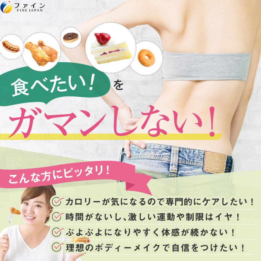 FINE JAPAN カロリー気にならないサプリ 脂質専用 30日分(90粒) 3個