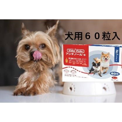 アンチノールプラス アンチノールPlus 犬用サプリ 60粒入り/箱 : 金閣