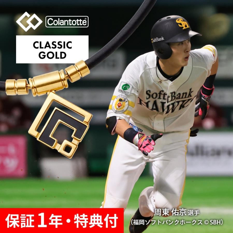 TAO Colantotte コラントッテ ネックレス α ARAN アルファ アラン