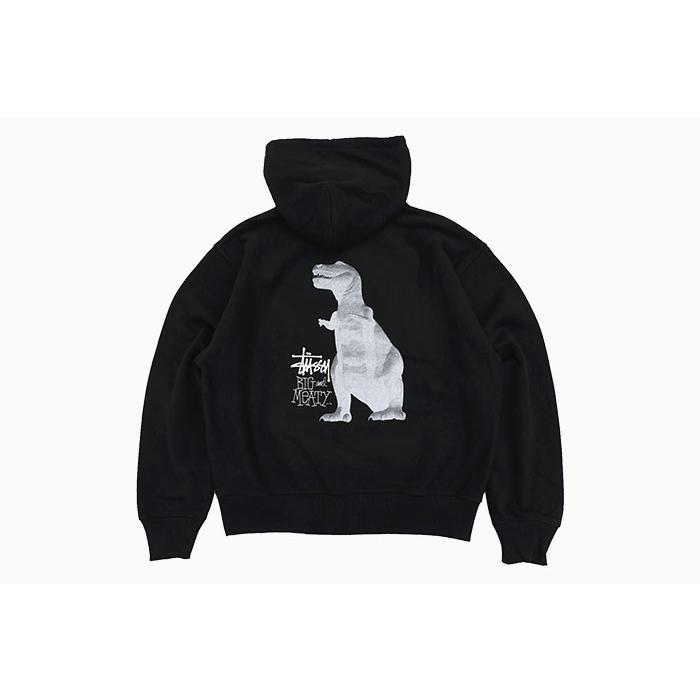 STUSSY（ステューシー） パーカー ジップアップ メンズ Big & Meaty