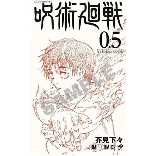 呪術廻戦（全30巻+0巻+0.5巻+公式ファンブックセット） : マンガ屋