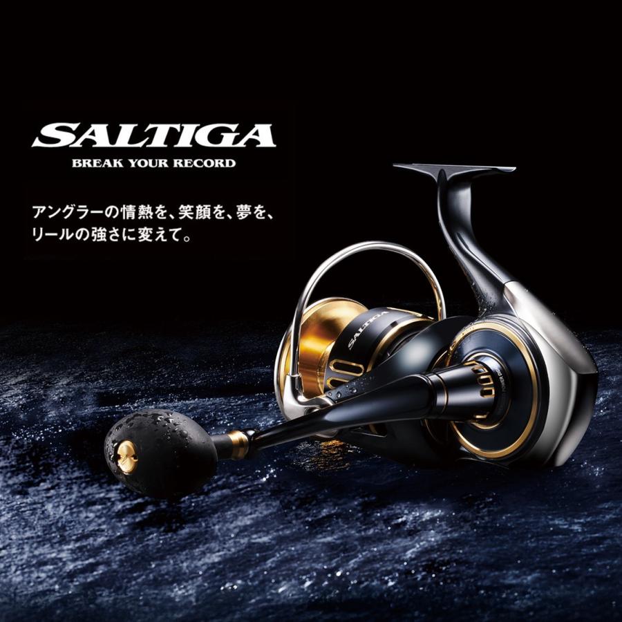 DAIWA（ダイワ） スピニングリール (予約3月発売)25ソルティガ 30000-P