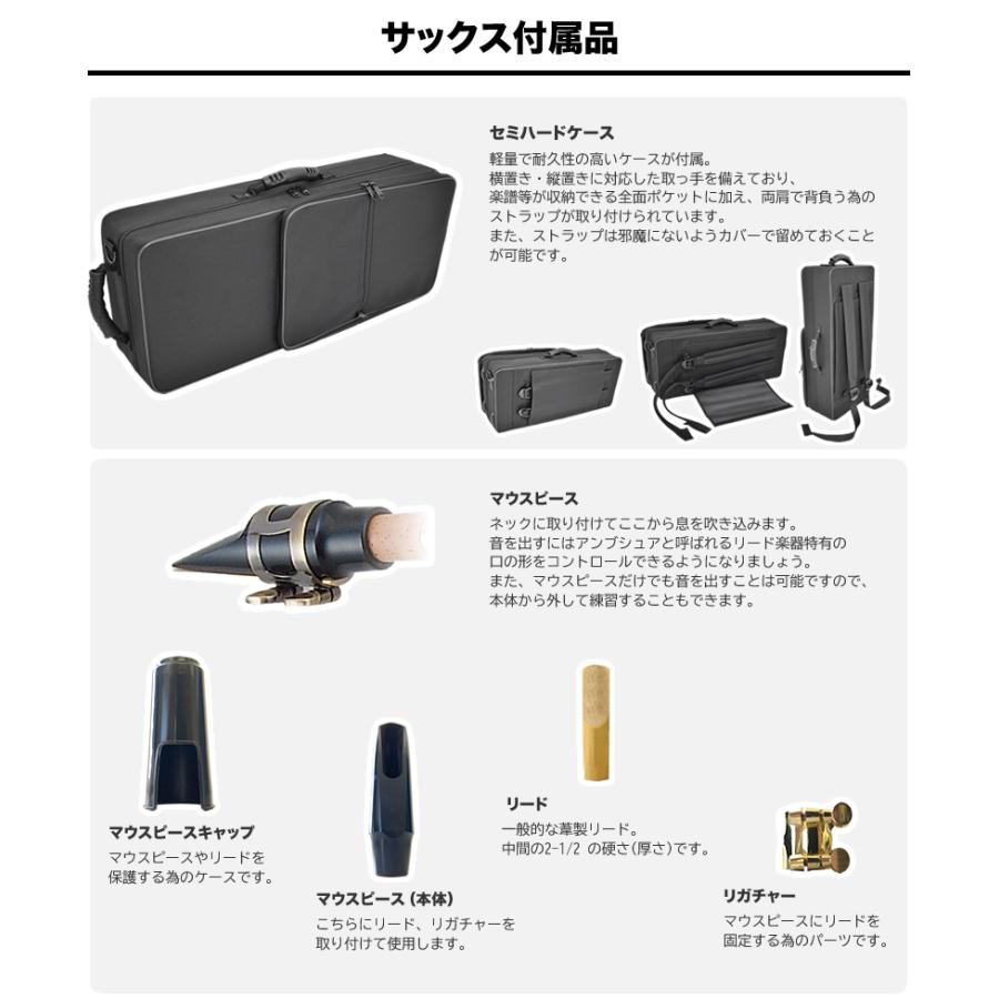 Soleil アルトサックス SAL-1 単品〔専用ケース、その他付属品付き
