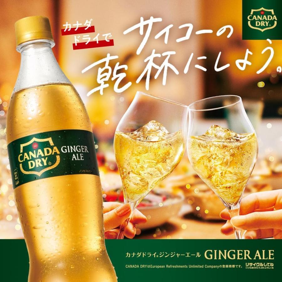 カナダドライ ジンジャーエール 500ml ペットボトル 1ケース×24本入