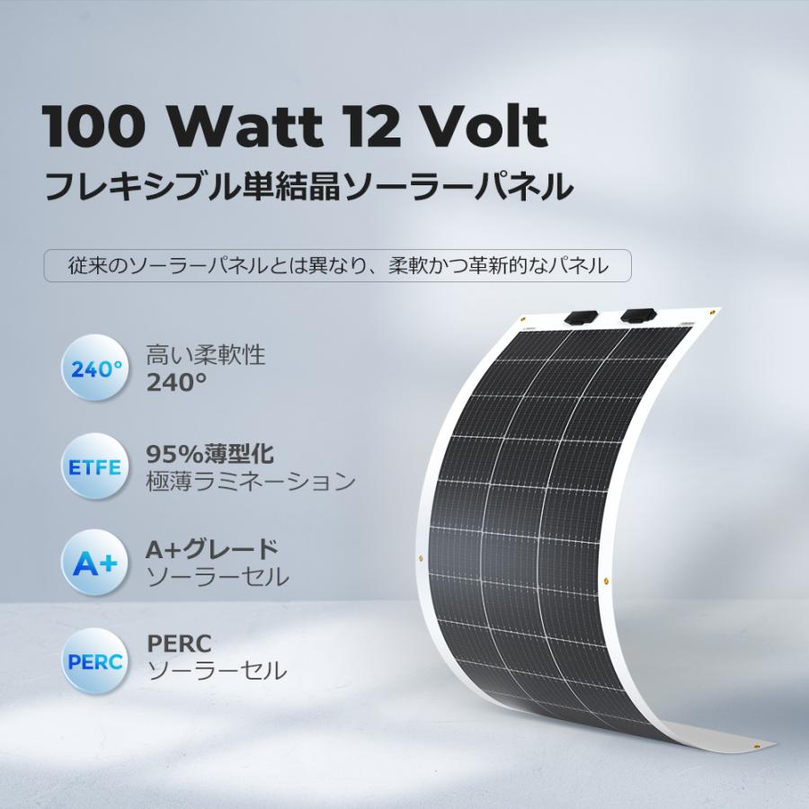 RENOGY（レノジー） フレキシブル ソーラーパネル 100W 単結晶 太陽光
