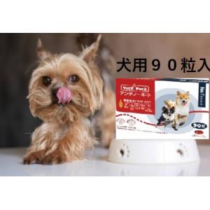 アンチノールプラス アンチノールPlus 犬用サプリ 60粒入り/箱 : 金閣