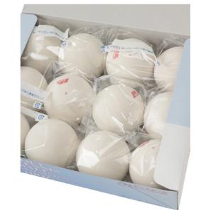 LUCENT（ルーセント） ソフトテニス用品 アカエムボールカゴポーター