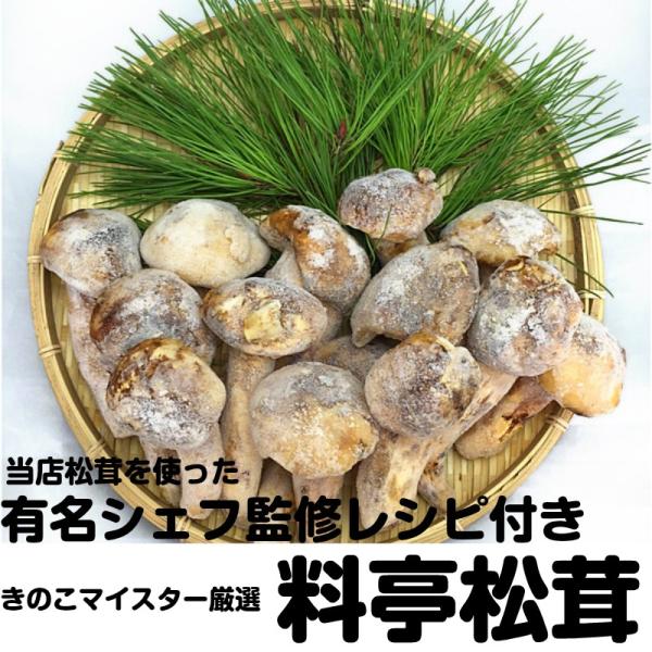 訳あり 松茸」の人気商品一覧 | 安い商品を通販サイトから探す - 価格.com