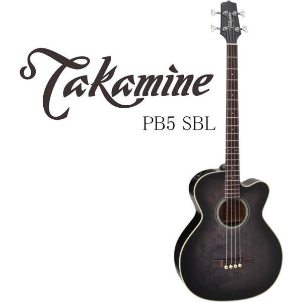 タカミネ ハードケース」の人気商品一覧 | 安い商品を通販サイトから