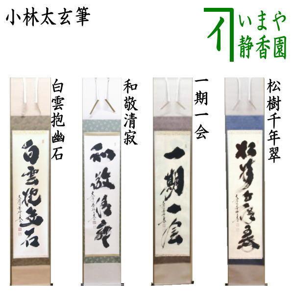 美品 掛け軸 瑞龍山雲澤禅寺 足立泰道作「白雲抱幽石」共箱 禅語