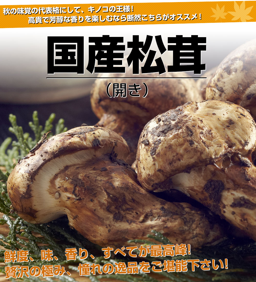 国産松茸（開き）400g前後（1本から3本前後）送料無料 クール便