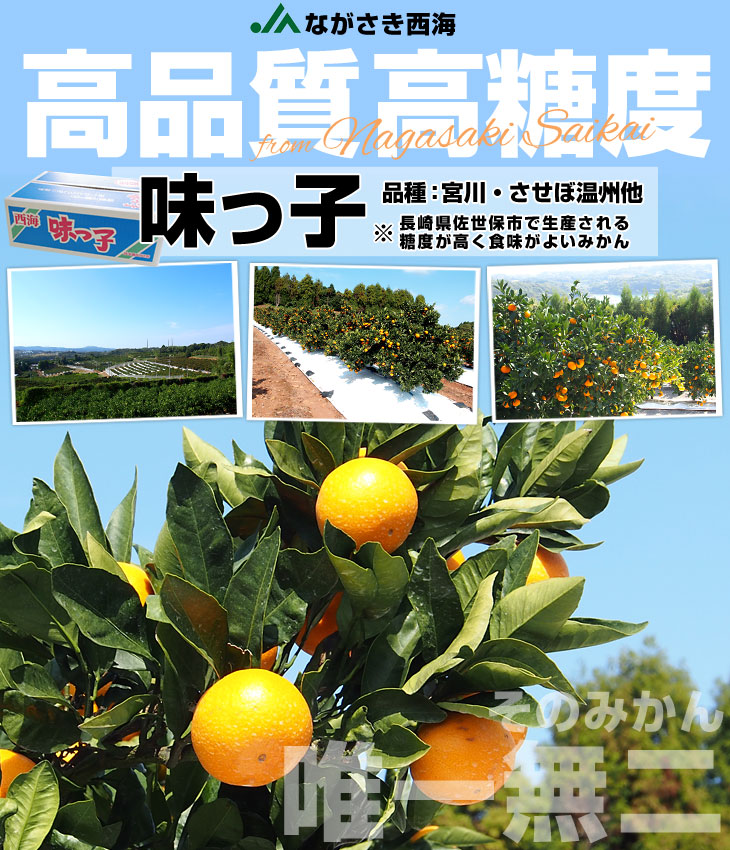 長崎県産 JAながさき西海 西海みかん 味っ子 Sサイズ 5キロ （秀品