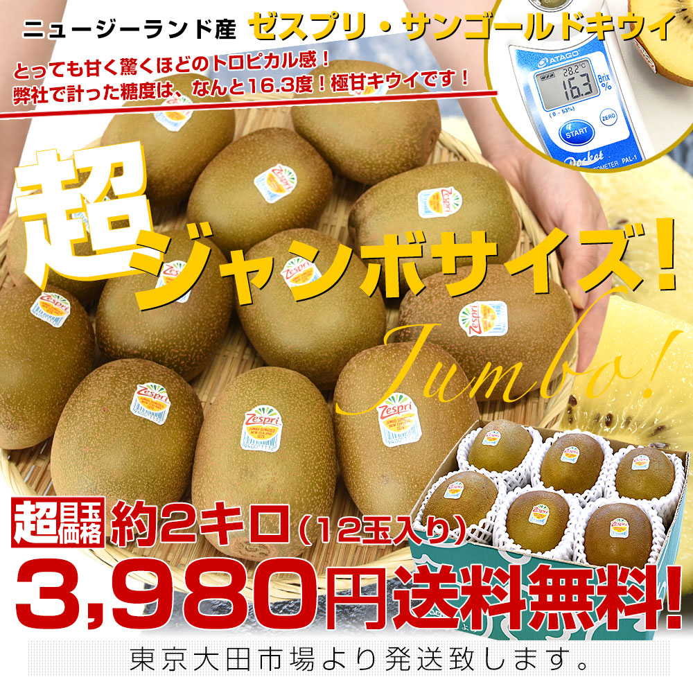d_kiwi44_00.jpg