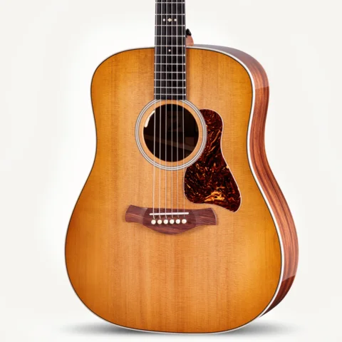 2024年の新アコースティックギター | Taylor Guitars