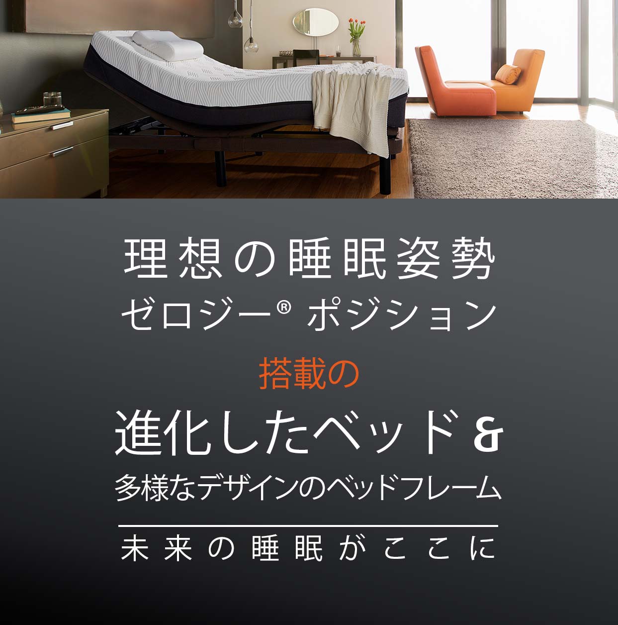 製品一覧 | テンピュール【公式】