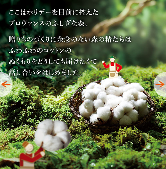 数量限定】フローラルコットン シア｜ロクシタン公式通販