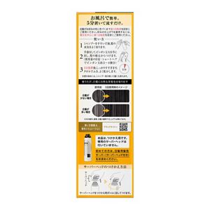 ブローネ リライズ 白髪用髪色サーバー リ・ブラック ふんわり仕上げ