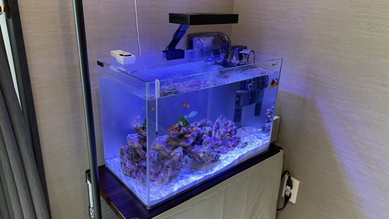 海水水槽に新しいライトを導入しました！「Hipargero A029」│Kuriblog