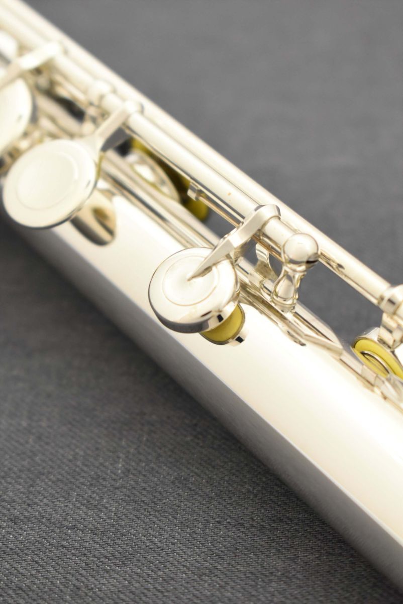 DS RHE | 【クロサワ楽器店オンラインショップ】いい楽器とのいい