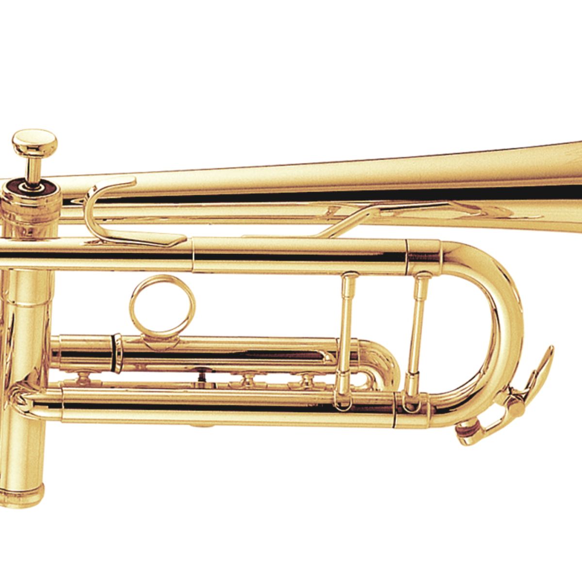 1117L【新品】 | 【クロサワ楽器店オンラインショップ】いい楽器との